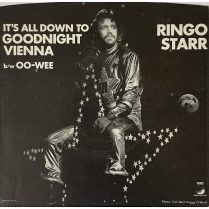 GOODNIGHT VIENNA - 7" Single w/Sleeve